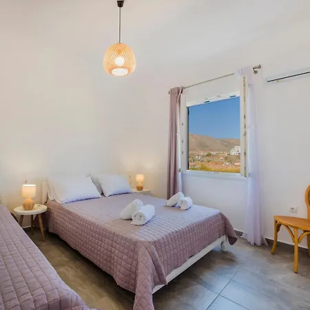 公寓 Family By The Sea Syros Vissa